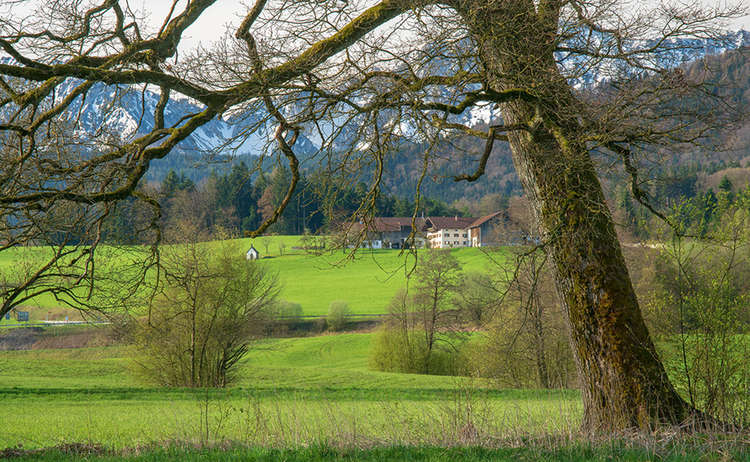 Bauernhof in Teisendorf