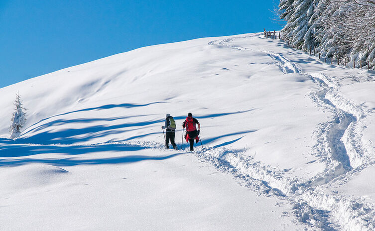 Winterwandern zur Stoißer Alm